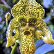 Схема вышивки «Цветы»