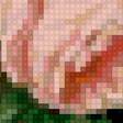 Предпросмотр схемы вышивки «Розы» (№2868506)