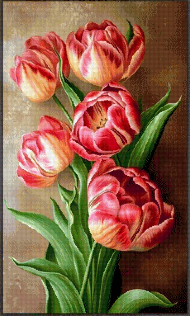 Цветы - тюльпаны - предпросмотр