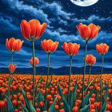 Схема вышивки «Маки»