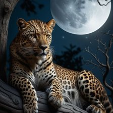 Схема вышивки «Киска»