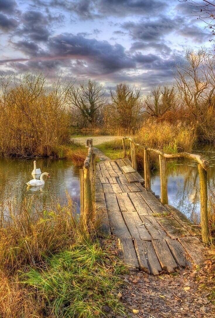 Старый мост - художники - оригинал