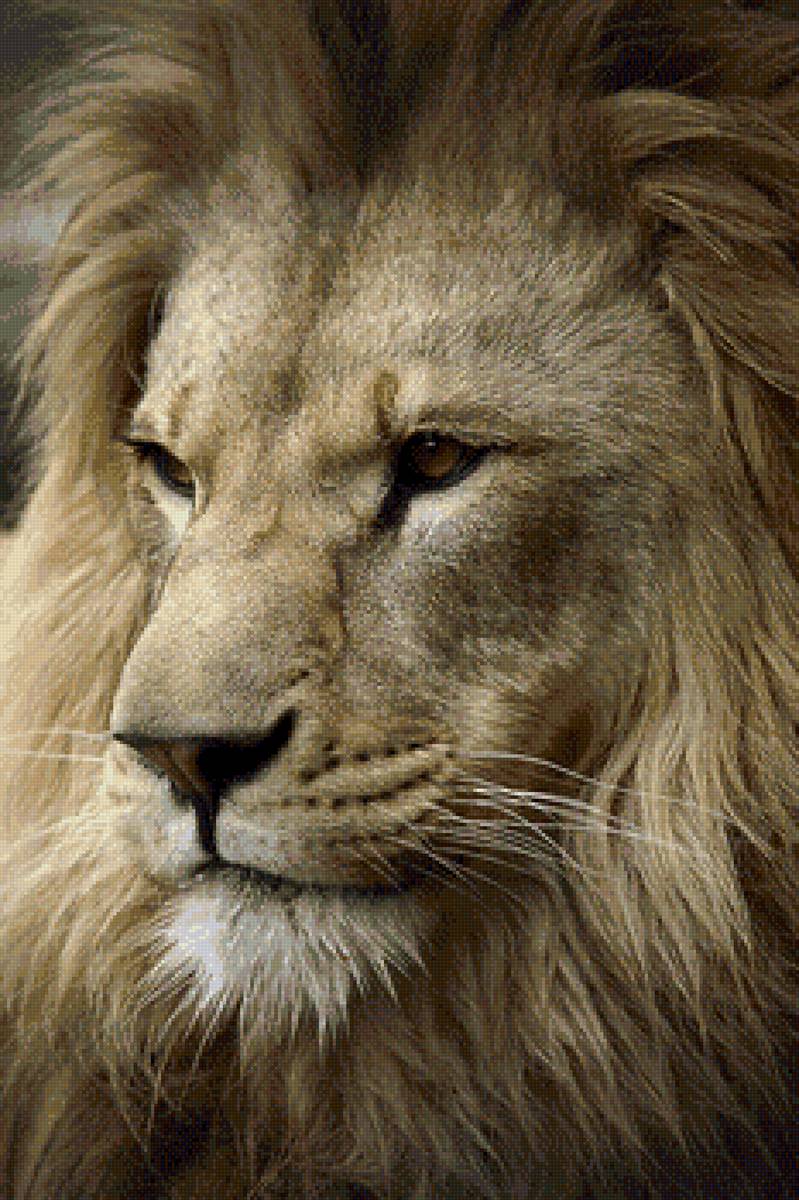 царь - предпросмотр