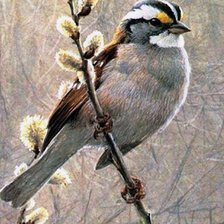 Схема вышивки «весна пришла»