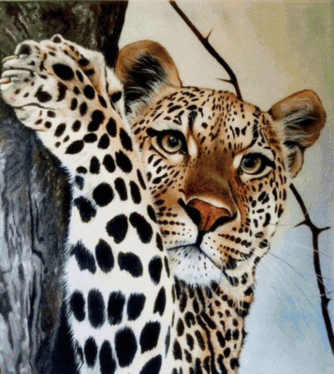 животные - предпросмотр