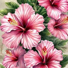 Схема вышивки «Гибискус»