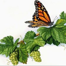 Схема вышивки «Виноград»