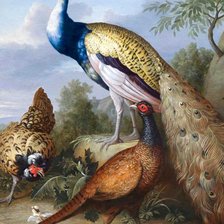 Схема вышивки «Птицы»