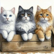 Схема вышивки «№2870029»