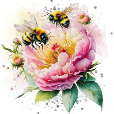 Схема вышивки «пионы»