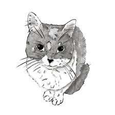 Схема вышивки «Бэтти»