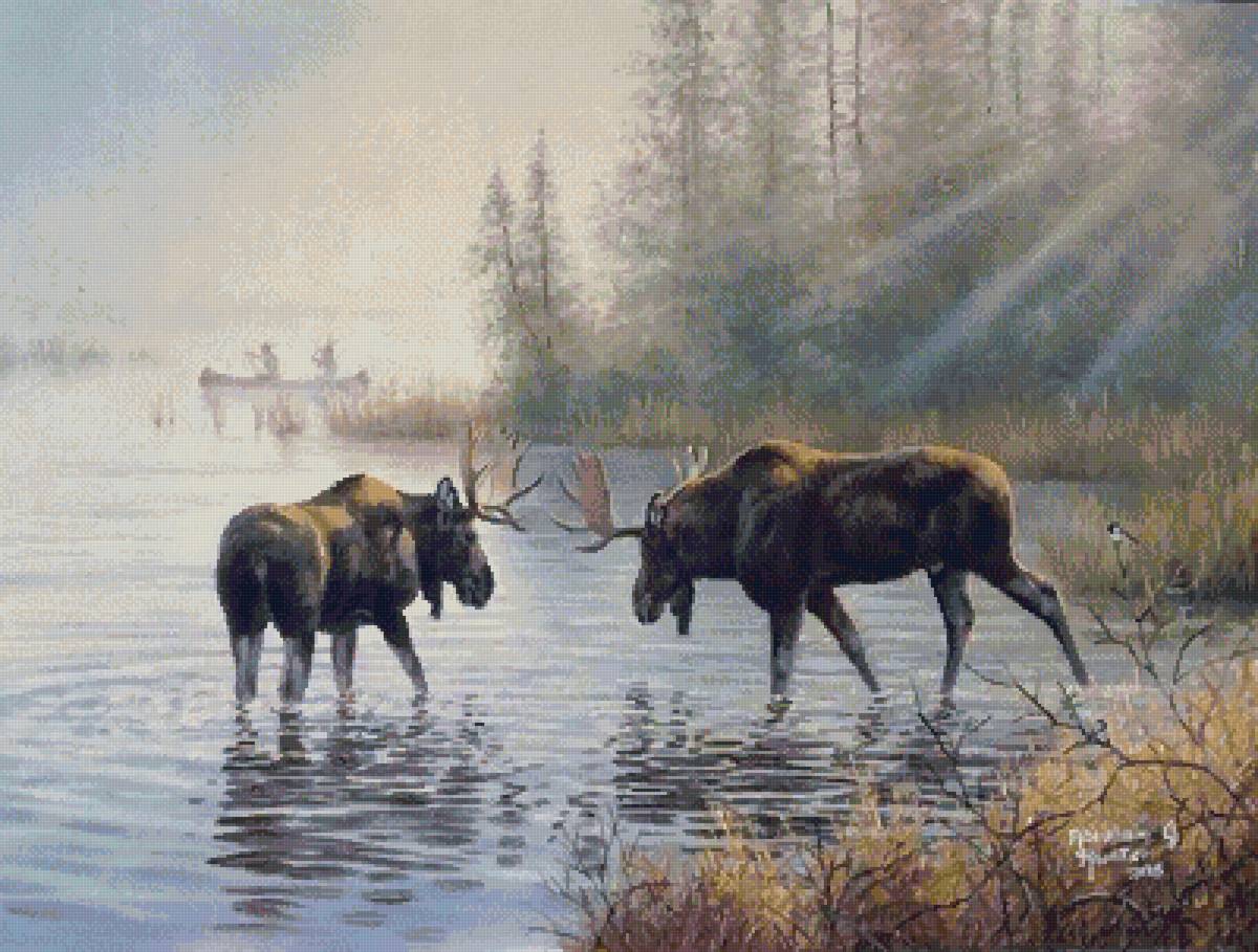 №2870488 - абрахам хантер, природа, звери - предпросмотр