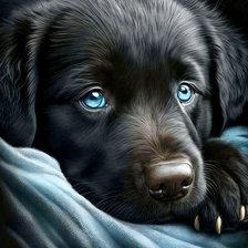 Схема вышивки «№2870757»