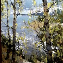 Схема вышивки «блики»