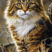 Схема вышивки «кот»