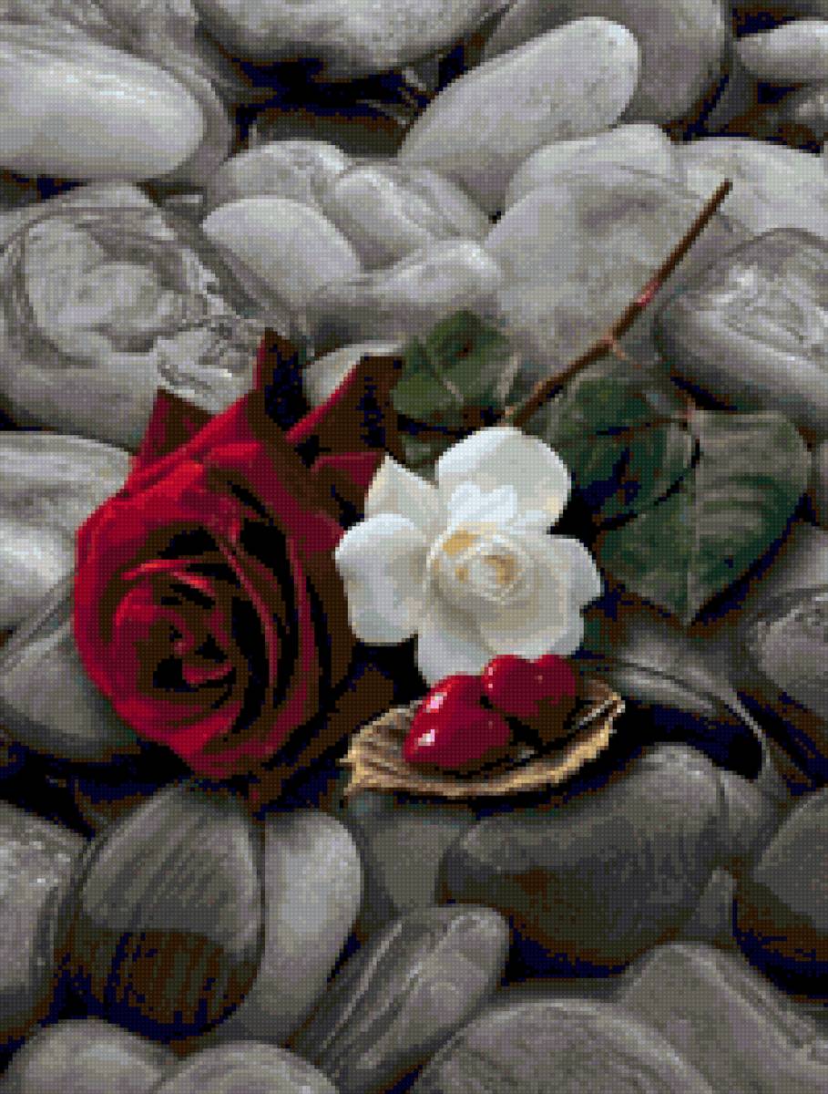 Rosa - agua, naturaleza, flores - предпросмотр