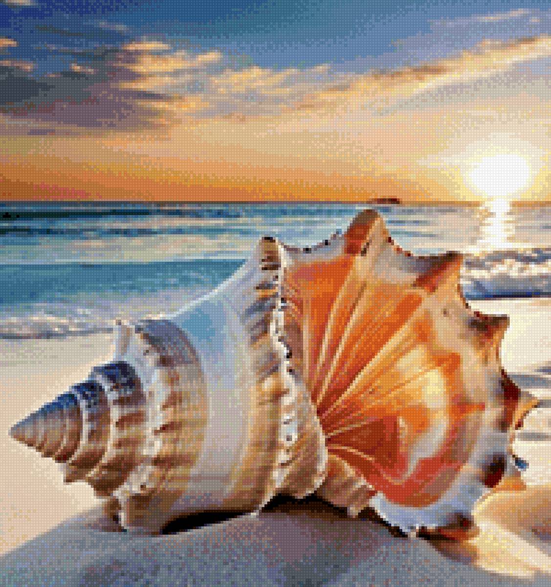 морская раковина - пейзаж - предпросмотр