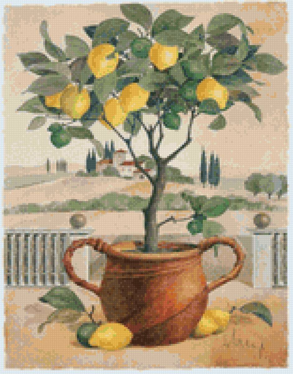 лимонное дерево - предпросмотр