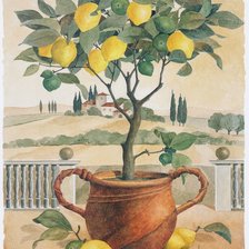 Схема вышивки «лимонное дерево»