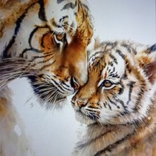 Схема вышивки «Тигр и тигренок»