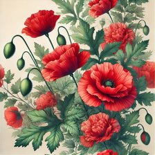Схема вышивки «Красные маки»