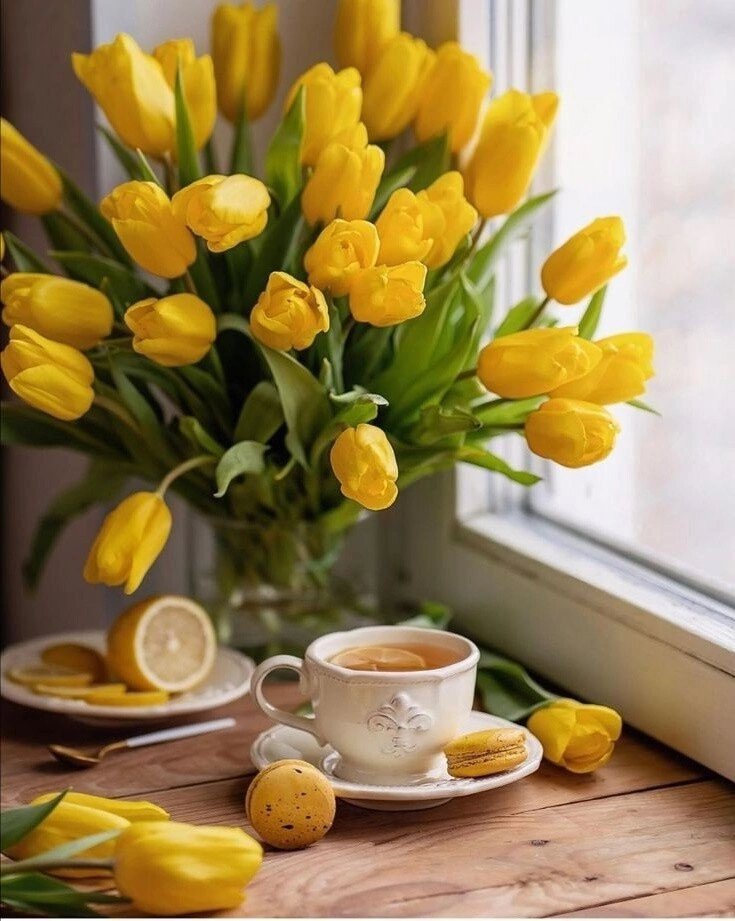 Жёлтые тюльпаны - чай, желтые тюльпаны - оригинал