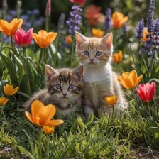 Схема вышивки «Котята»