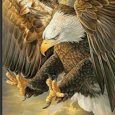 Схема вышивки «Птицы»