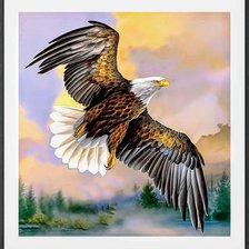 Схема вышивки «Птицы»