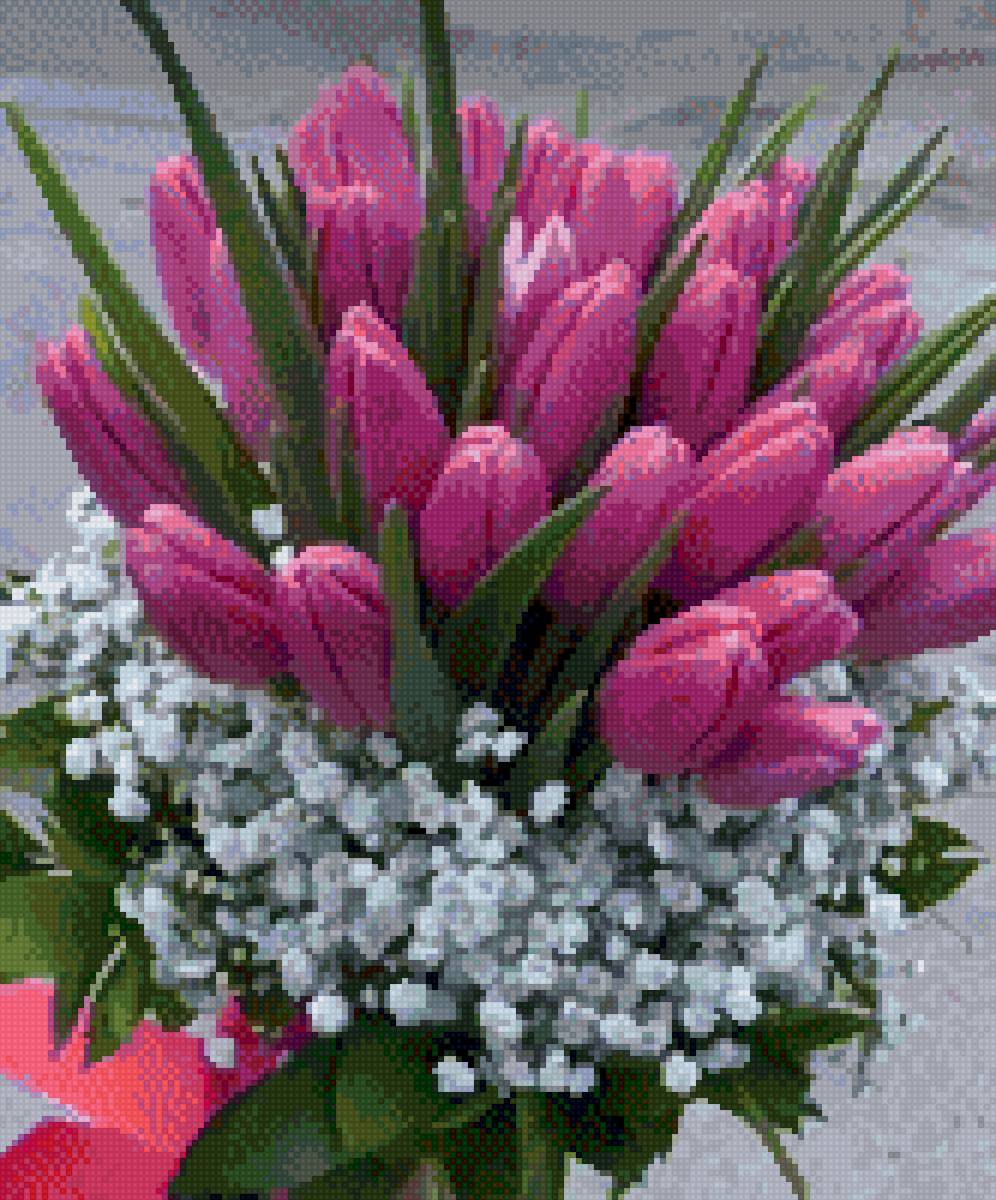 Тюльпаны - цветы, тюльпаны - предпросмотр