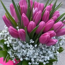 Схема вышивки «Тюльпаны»