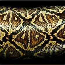 Схема вышивки «Змея»