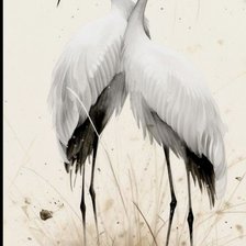 Схема вышивки «Птицы»