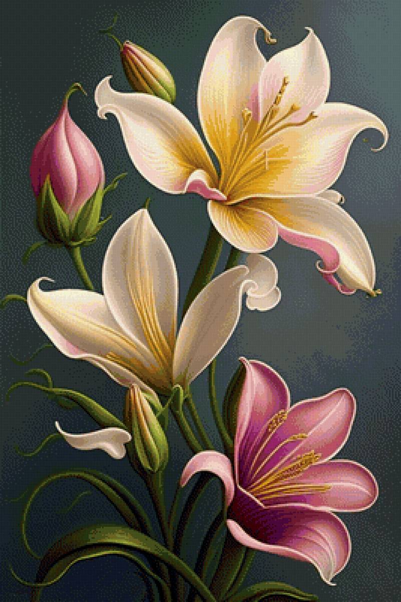 Цветок - предпросмотр