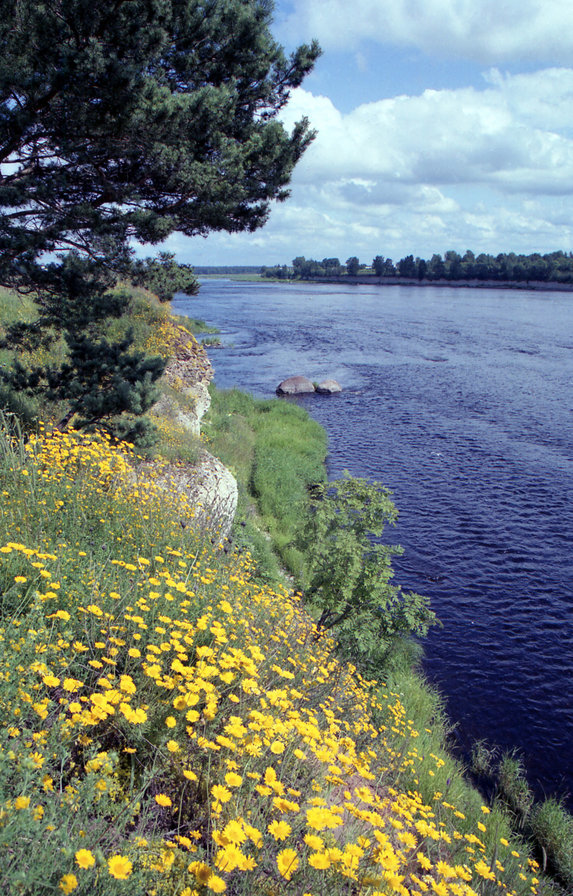 №2873142 - оригинал