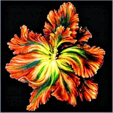 Схема вышивки «Цветы»