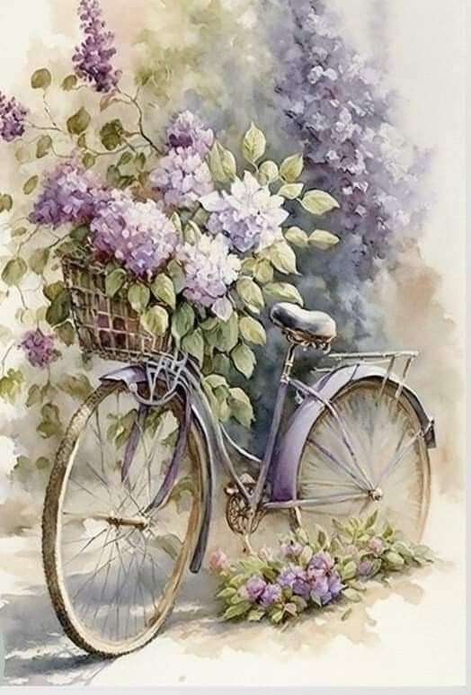 Прованс - велосипед, сирень, цветы гортензии, прованс - оригинал