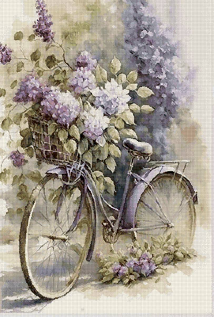 Прованс - цветы гортензии, велосипед, сирень, прованс - предпросмотр