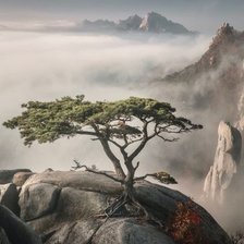 Схема вышивки «Пейзаж»