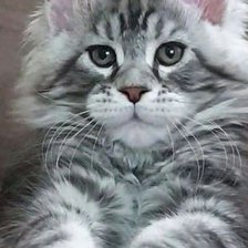 Схема вышивки «мейкун»