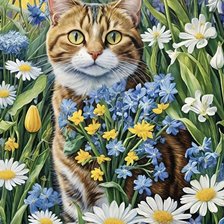 Схема вышивки «кот»