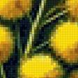 Предпросмотр схемы вышивки «мимоза» (№2873617)