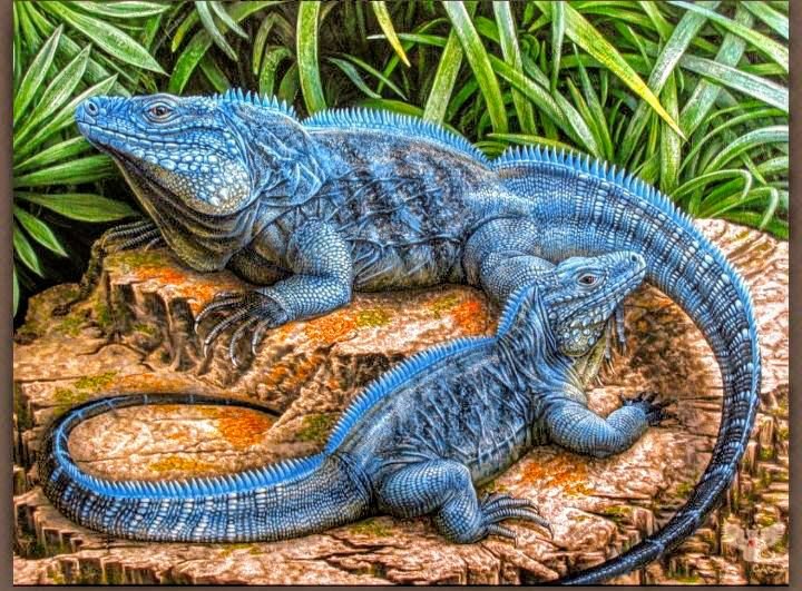 Природа - ящерицы - оригинал