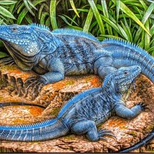 Схема вышивки «Природа»