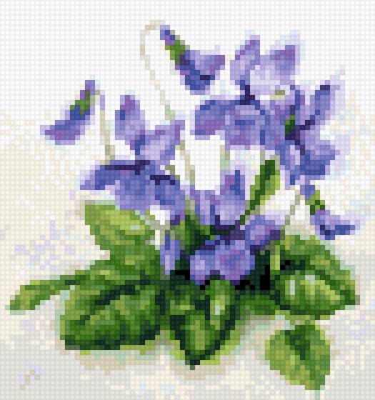 Фиалки - предпросмотр