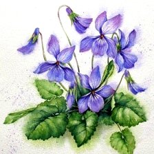 Схема вышивки «Фиалки»