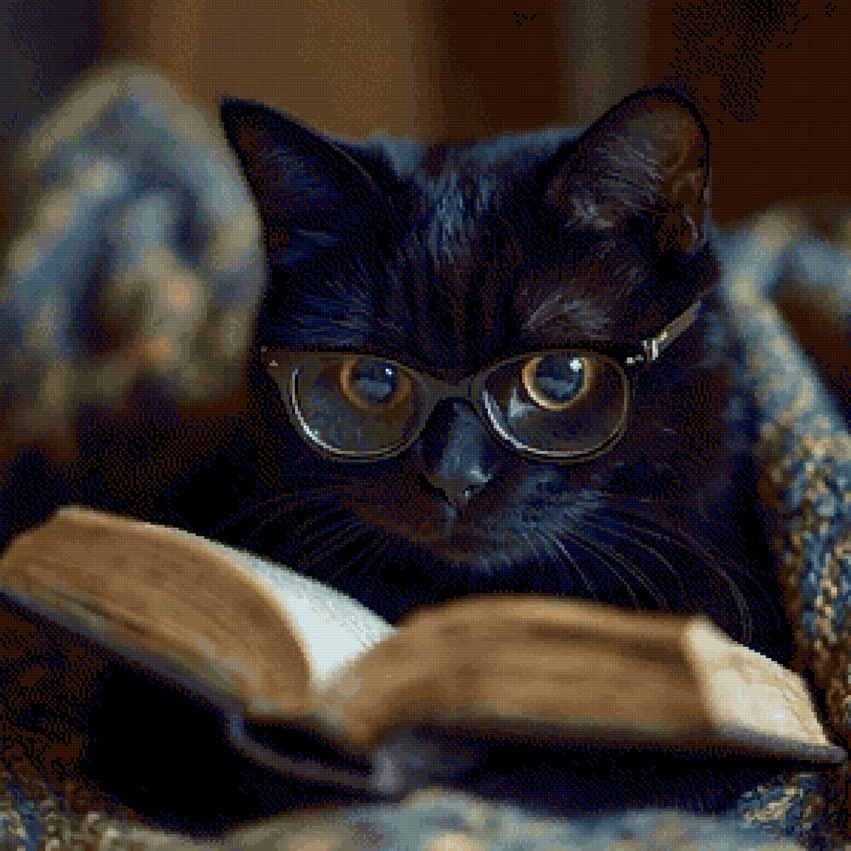 Чёрный кот за книгой - книга, кот, черный кот - предпросмотр