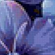 Предпросмотр схемы вышивки «№2874687»