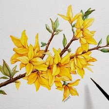 Схема вышивки «Форзиция»