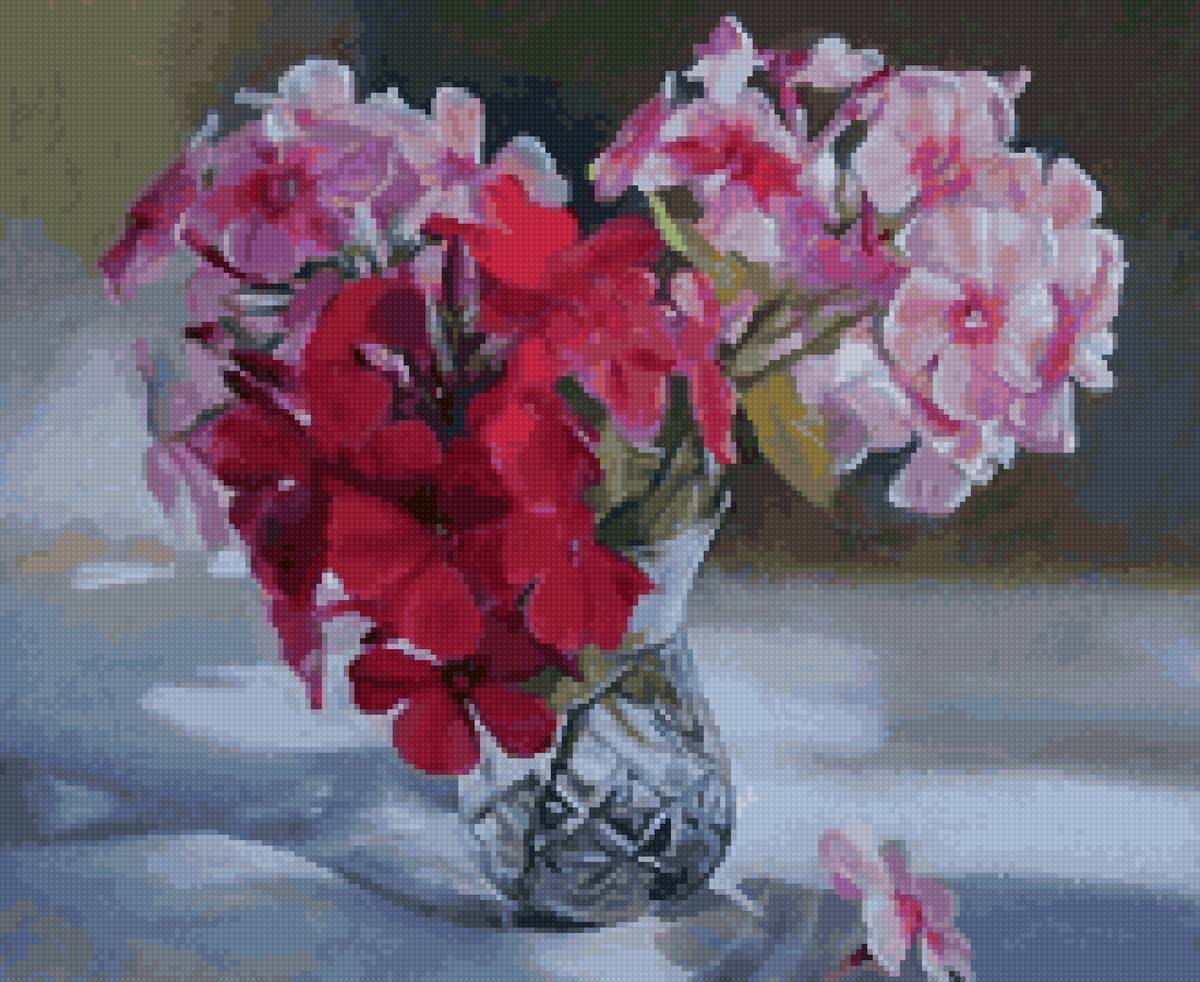 флоксы - предпросмотр